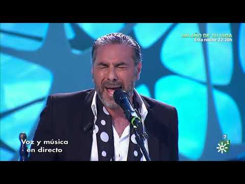 Villancico. Los campanilleros de Manuel Torre. Pedro El Granaíno. 2019