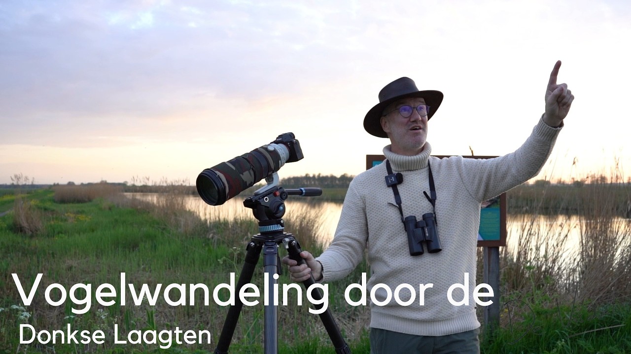 Vogelwandeling door de Donkse Laagten #1681