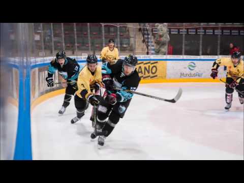 Liikunnan Riemu Hockey Intro 16-17