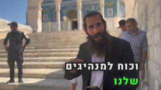 ברכות למנהיגי ישראל להשמדת העמלק העזתי | הרב אלישע וולפסון (ישיבת הר הבית) - התמונה מוצגת ישירות מתוך אתר האינטרנט יוטיוב. זכויות היוצרים בתמונה שייכות ליוצרה. קישור קרדיט למקור התוכן נמצא בתוך דף הסרטון ברכות למנהיגי ישראל להשמדת העמלק העזתי | הרב אלישע וולפסון (ישיבת הר הבית) - התמונה מוצגת ישירות מתוך אתר האינטרנט יוטיוב. זכויות היוצרים בתמונה שייכות ליוצרה. קישור קרדיט למקור התוכן נמצא בתוך דף הסרטון