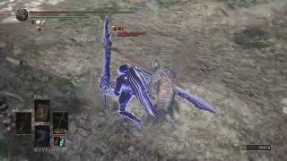 DARK SOULS 3  most chicken player