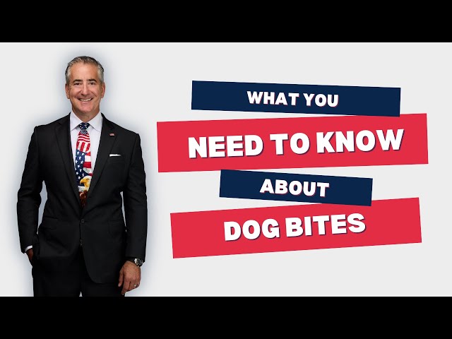 What You Need To Know About Dog Bites