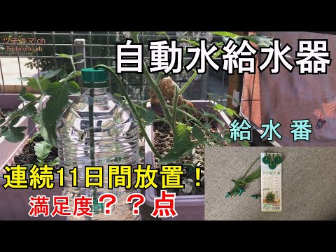 自動灌漑システム トピックス