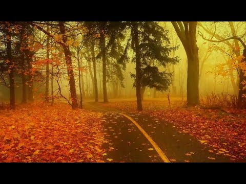 Czesław Niemen - Pieśń wojów