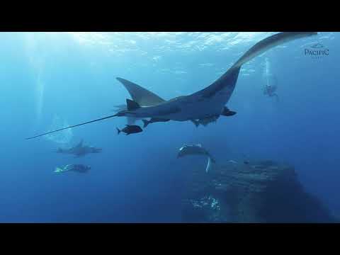 Pacific Fleet