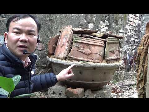 , title : 'Nung đất trồng bonsai quá dễ ai cũng làm được - Burn soil for bonsai in an easy way'