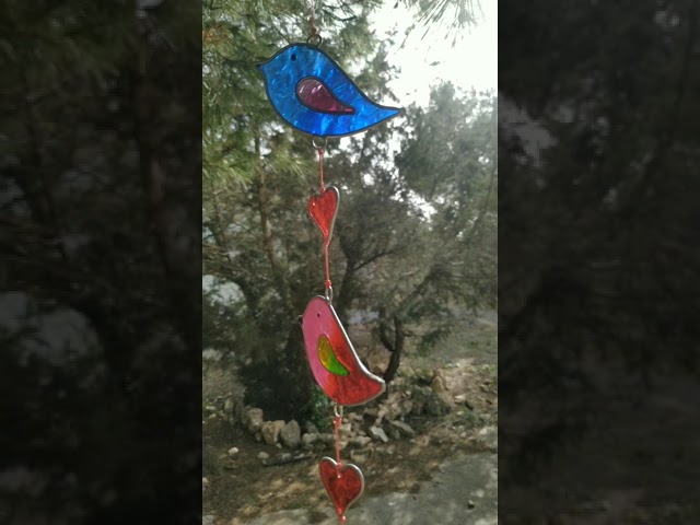 Vídeo relacionado con Anticolisión Ventana Pegatinas,18 Piezas Grandes Pájaros/Mariposa Transparente Ventana Adhesiva,Siluetas Pegatinas Previenen Golpes de Pájaros en Puertas y Ventanas Decoración de Vidrio.