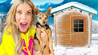 Surprising Our Dog With a Log Cabin