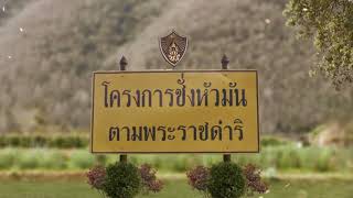ตอนที่ 253 : ปล่อยให้เป็นไปตามแรงลม