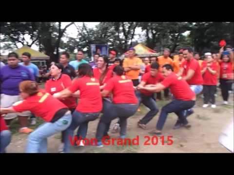 My filesM tug of war collection 2006 - 2016