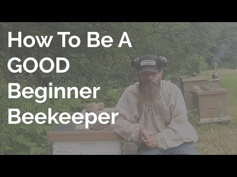 , title : 'How To Be A Good Beginner Beekeeper