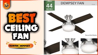 Top Interior Designer Reveals Best Ceiling Fans For Bright Homes