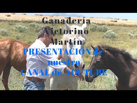 PRESENTACION de NUESTRO PROYECTO después del Estado de Alarma  ¡SUSCRÍBETE!¡SUSCRÍBETE! ¡SUSCRÍBETE!