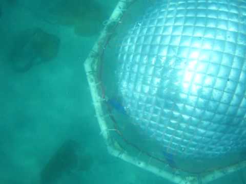 The Underwater Bubble Room - Blowing bubble rings