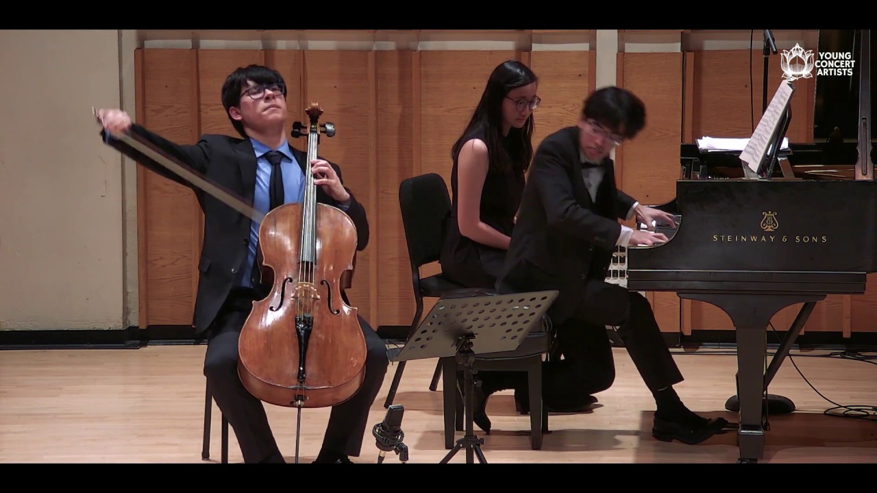 Brahms - Cello Sonata No. 1, III. Allegro