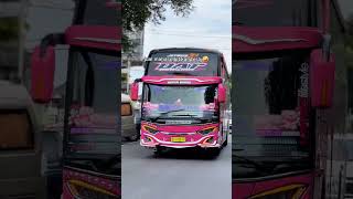 Download lagu Stecu Stelan Cuek Baru Malu mp3 Download lagu Stecu Stelan Cuek Baru Malu mp3