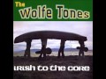 The Wolfe Tones - The Limerick Races