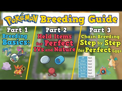 How to Breed PERFECT IV Pokemon as FAST as Possible | Pokemon BDSP Sword Shield