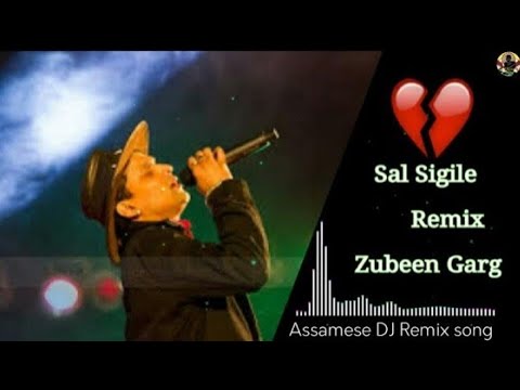 Sal sigile Dj Remix sang. assam dj Remix Song.dj DJ assam bass