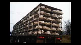 there will always be a you