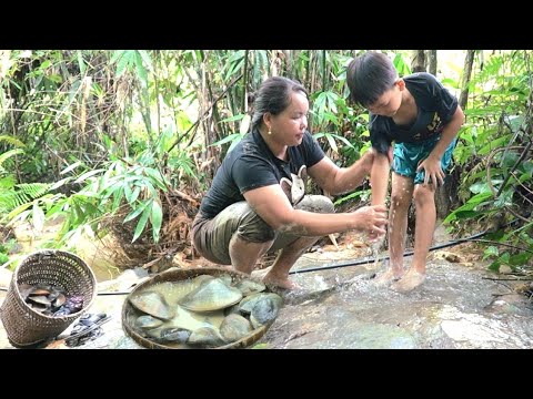 The process of harvesting mussels in the swamp. & take it to the market to sell. Simple Life DH