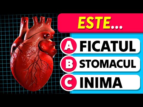 Cât de Bine Cunoști Corpul Uman? | Test de Cultură Generală