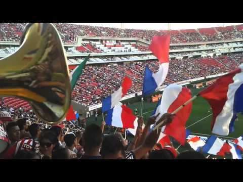 "CHIVAS VS tigres 2014 (LFDG)" Barra: Legión 1908 • Club: Chivas Guadalajara