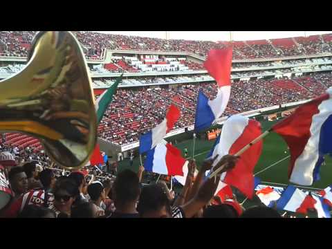 "CHIVAS VS tigres 2014 (LFDG)" Barra: Legión 1908 &bull; Club: Chivas Guadalajara