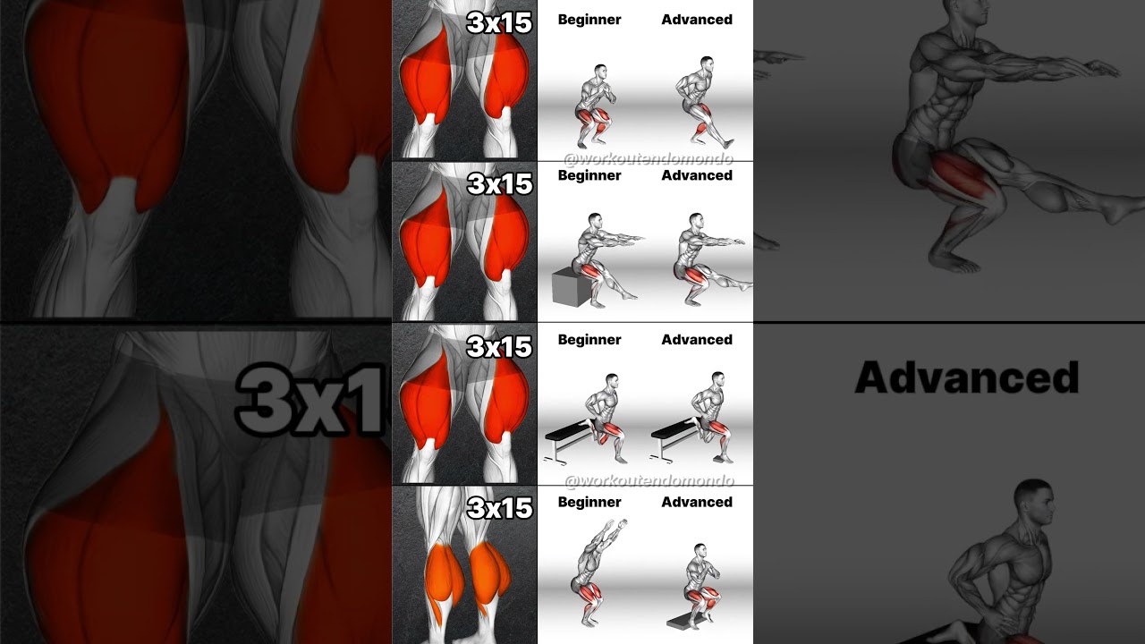 Leg Workouts for ALL Levels: Beginner to Advanced Training!