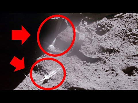 The Falcon Feather and Hammer Dropped on the Moon