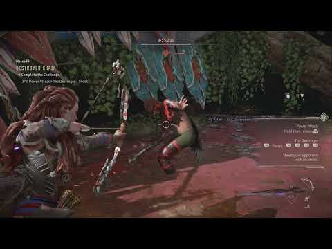 Horizon Forbidden West™ Destroyer Chain.