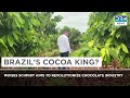 World S Largest Cocoa Farm Brazil S Moises Schmidt Breaks The Mold DRM News AL14