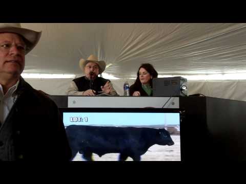 download lagu mp3 mp4 Eddie Sims, download lagu Eddie Sims gratis, unduh video klip Eddie Sims