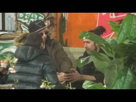 PIJANI VUK SVADJALICA - 06.12.2022. - INSTA TV