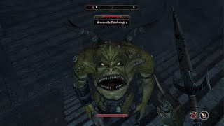 Oblivion Remastered- Funny Faces