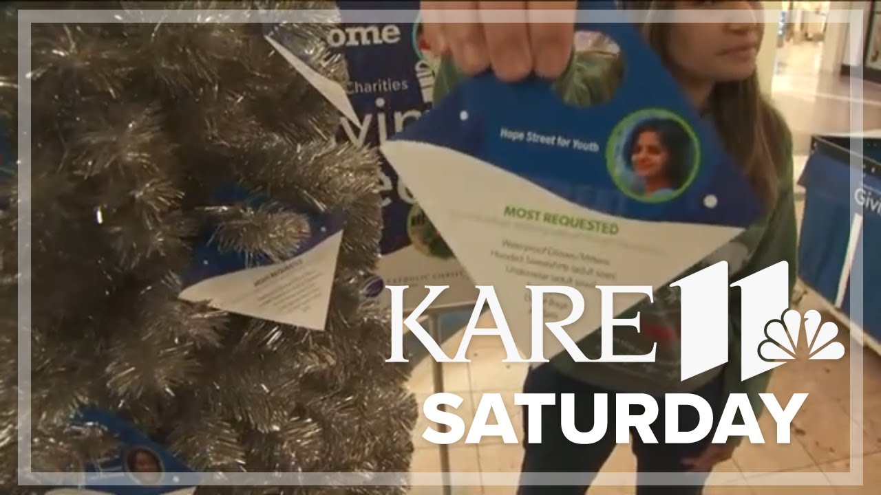 Share the holiday spirit at the Giving Tree at Mall of America