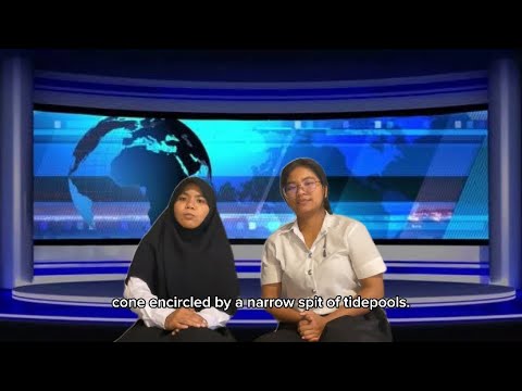 Martin’s beach 🏖️