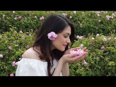 Akita Skin Care World