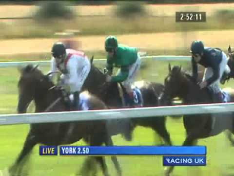 York Ebor Festival 2010 - Sportingbet.com Great Voltigeur Stakes