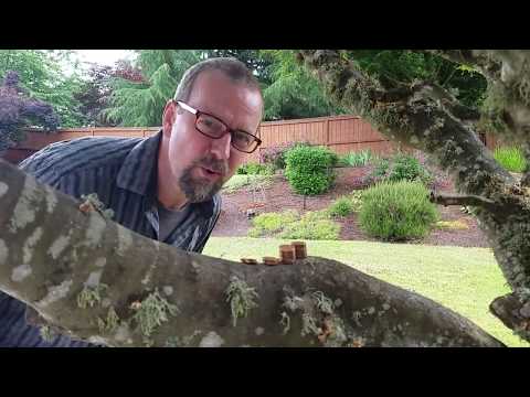 Life at The Gallery at Ten Oaks - Part 58