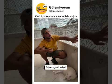 Kedi için yapılmış ama vallahi doğru