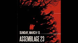 Assemblage 23 - 12 Let the Wind Erase Me (Live At DNA Lounge 2011)