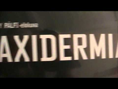 Nyt vetää sanattomaksi