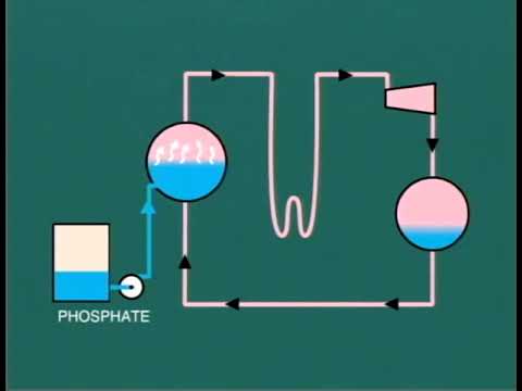 Lesson 9|| Reduce Phosphate in the Boiler water