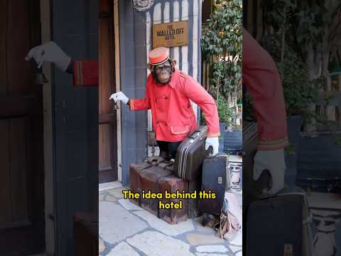 Introducing Banksy’s Walled Off Hotel in Palestine