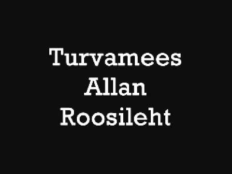 Turvamees - Allan Roosileht