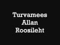 Turvamees - Allan Roosileht 
