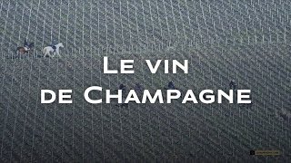 Il n'est de Champagne que de la Champagne.
