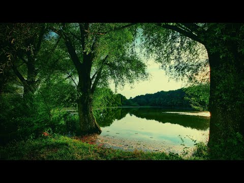 Heavenly Light | Instrumental Prayer Music | Soaking In His Presence | Prayer  Worship