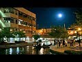 Die Flippers - Moonlight In Trinidad